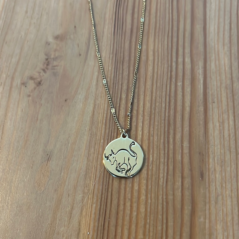 Kate spade Taurus (May) birth chart necklace